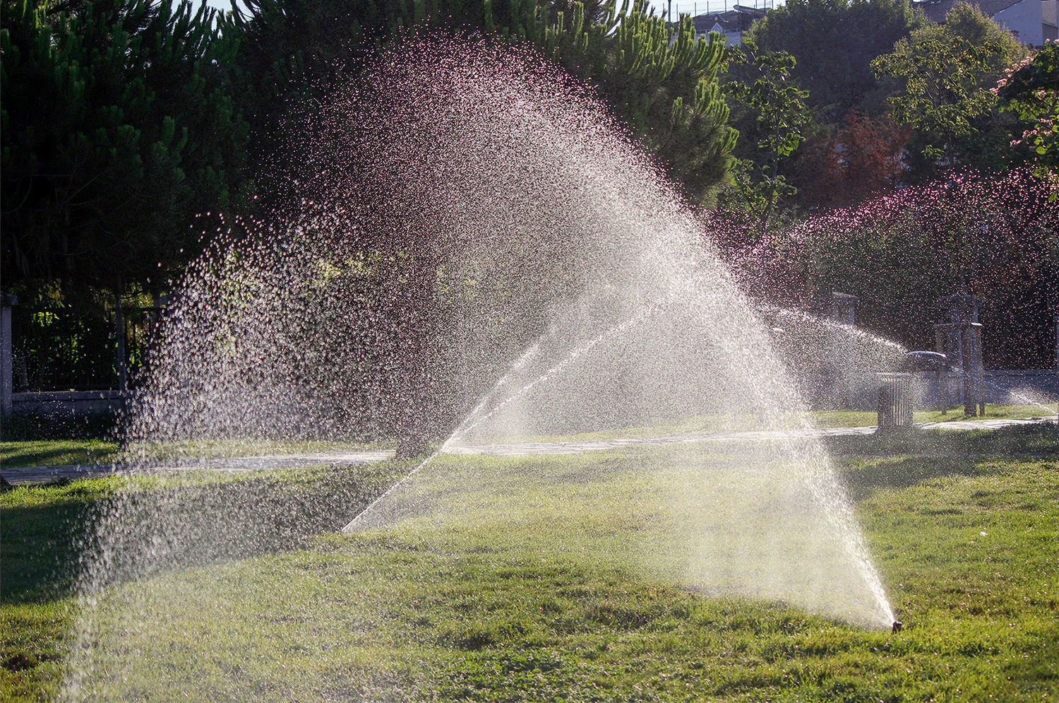 Bewässerung-im-Garten